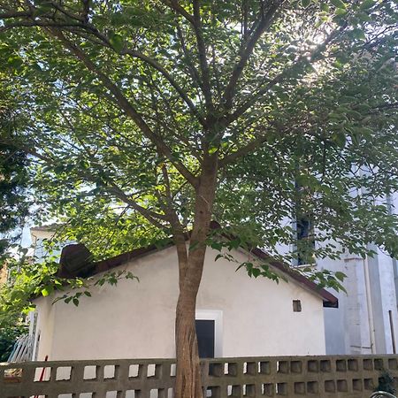 Casa Elisa 8 Villa Bellaria-Igea Marina Eksteriør billede