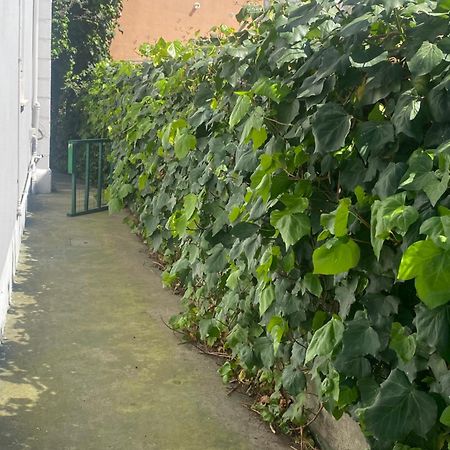 Casa Elisa 8 Villa Bellaria-Igea Marina Eksteriør billede
