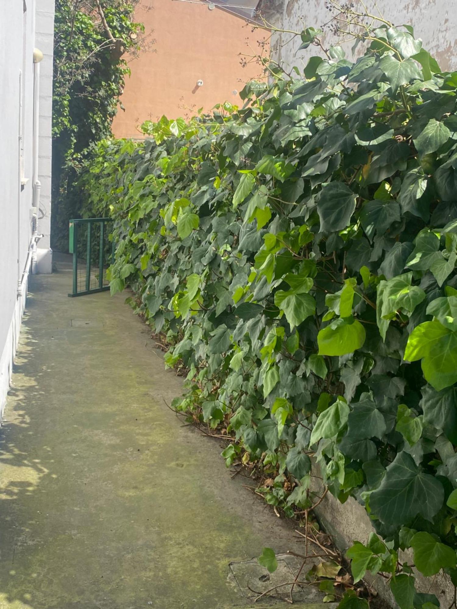 Casa Elisa 8 Villa Bellaria-Igea Marina Eksteriør billede