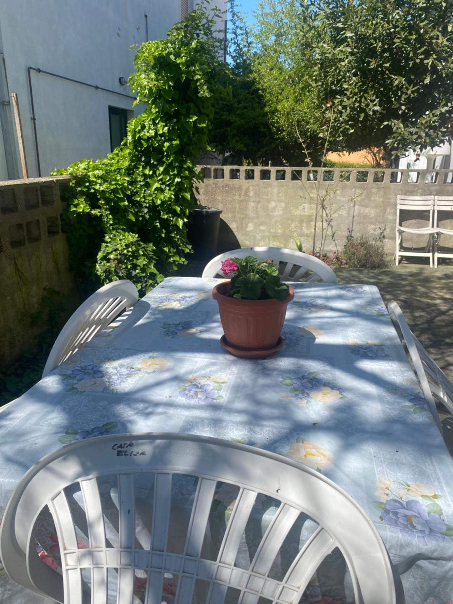 Casa Elisa 8 Villa Bellaria-Igea Marina Eksteriør billede
